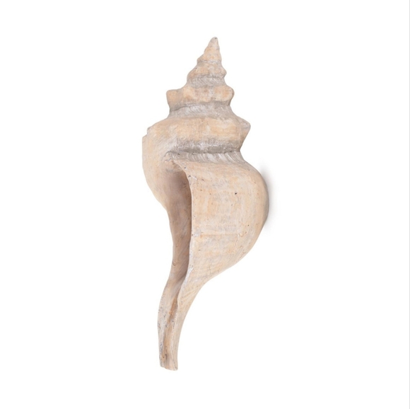 Horse Conch Seashell Decor Bowl - Picture 2 of 10